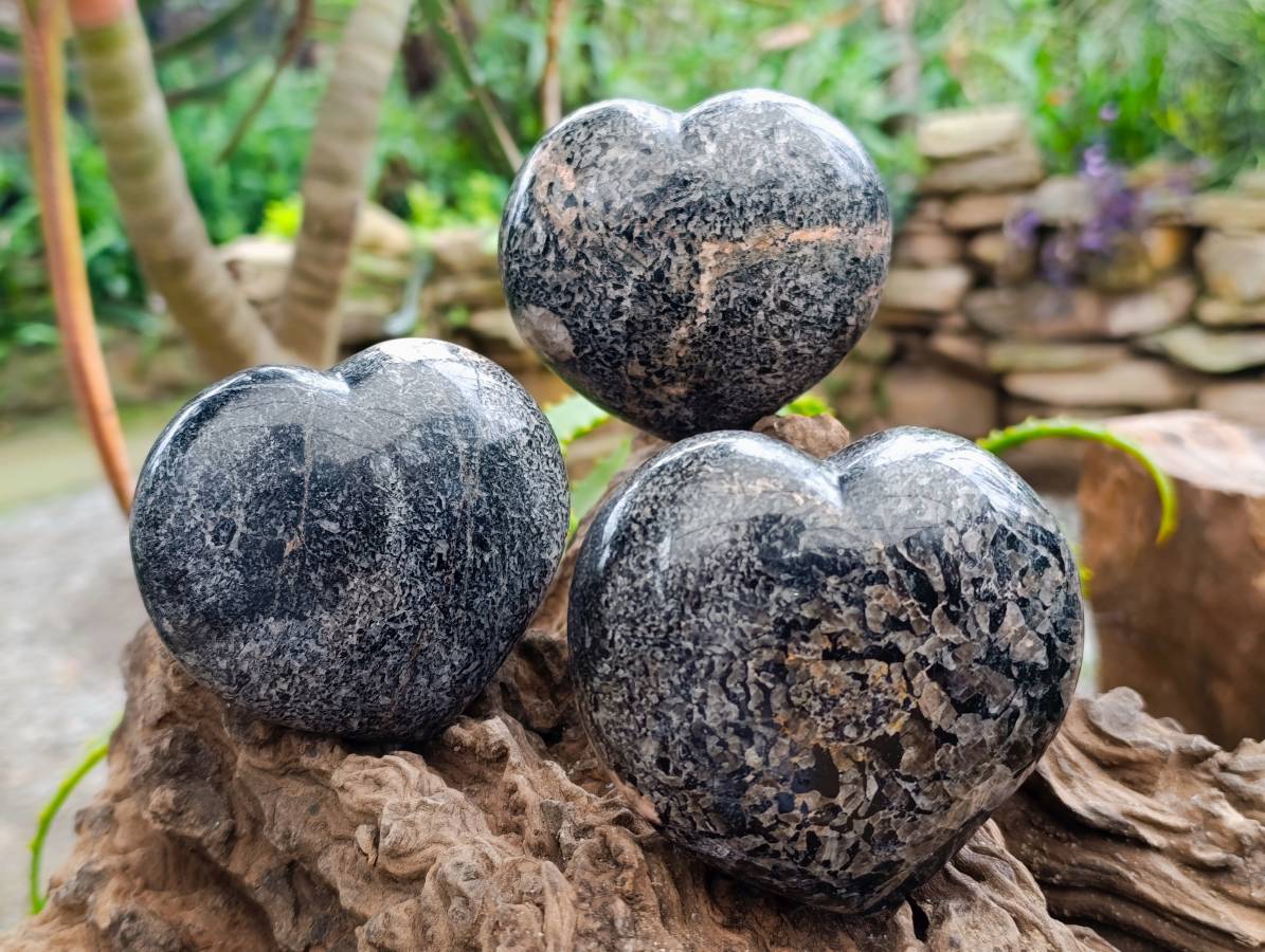 Polished Black Tourmaline Hearts In Matrix x 3 From Madagascar