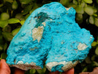 Natural Drusy Botryoidal Chrysocolla Specimens x 2 From Lupoto Mine, Congo