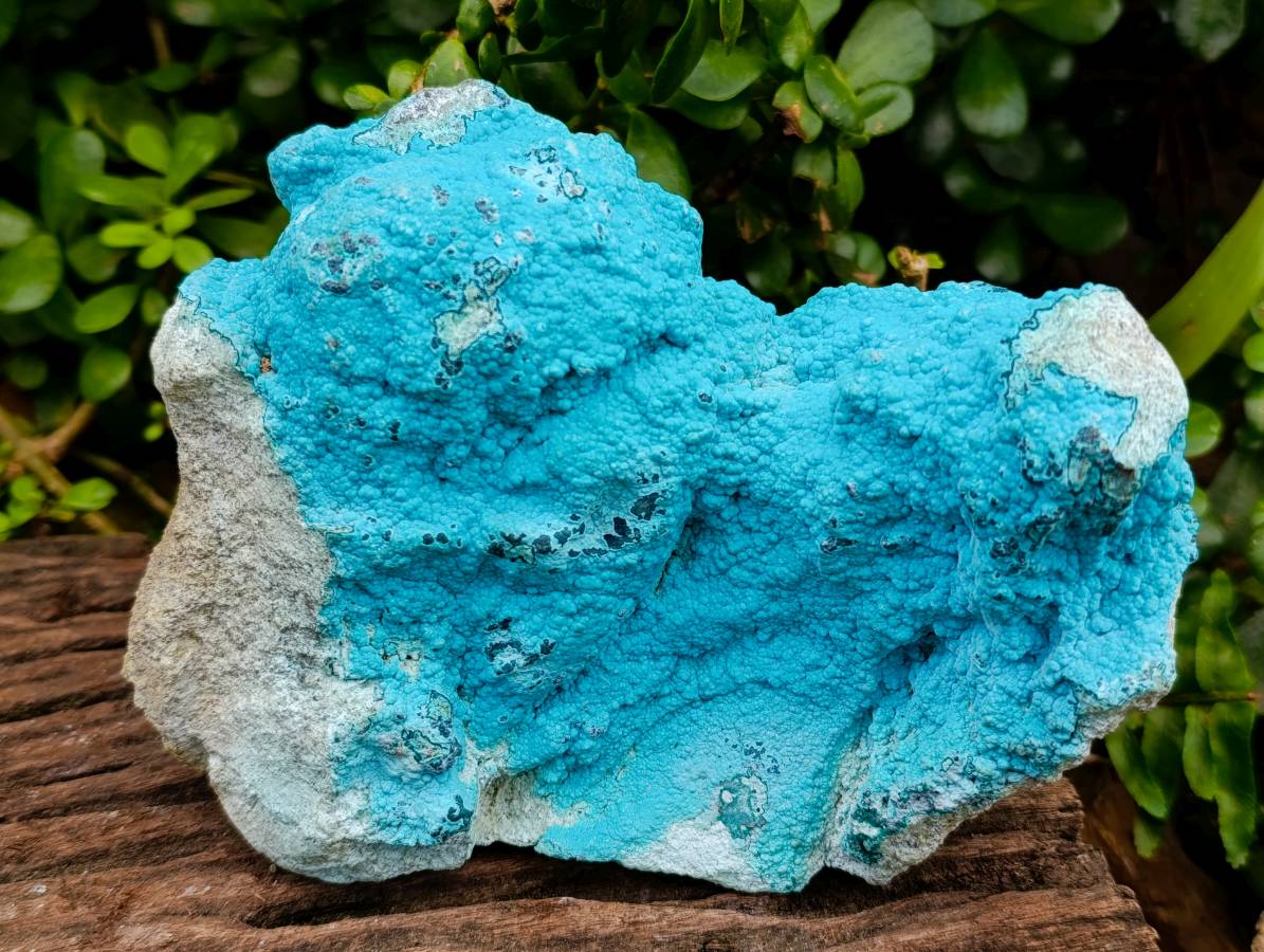 Natural Drusy Botryoidal Chrysocolla Specimens x 2 From Lupoto Mine, Congo