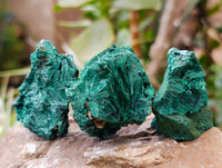 Natural Silky Malachite Specimens x 12 From Kasompe, Congo