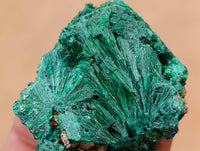Natural Silky Malachite Specimens x 12 From Kasompe, Congo