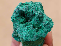 Natural Silky Malachite Specimens x 12 From Kasompe, Congo