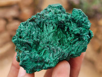 Natural Silky Malachite Specimens x 12 From Kasompe, Congo
