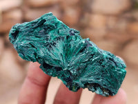 Natural Silky Malachite Specimens x 12 From Kasompe, Congo