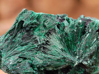 Natural Silky Malachite Specimens x 12 From Kasompe, Congo