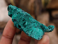 Natural Silky Malachite Specimens x 12 From Kasompe, Congo
