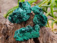 Natural Silky Malachite Specimens x 12 From Kasompe, Congo