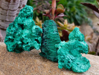 Natural Silky Malachite Specimens x 12 From Kasompe, Congo