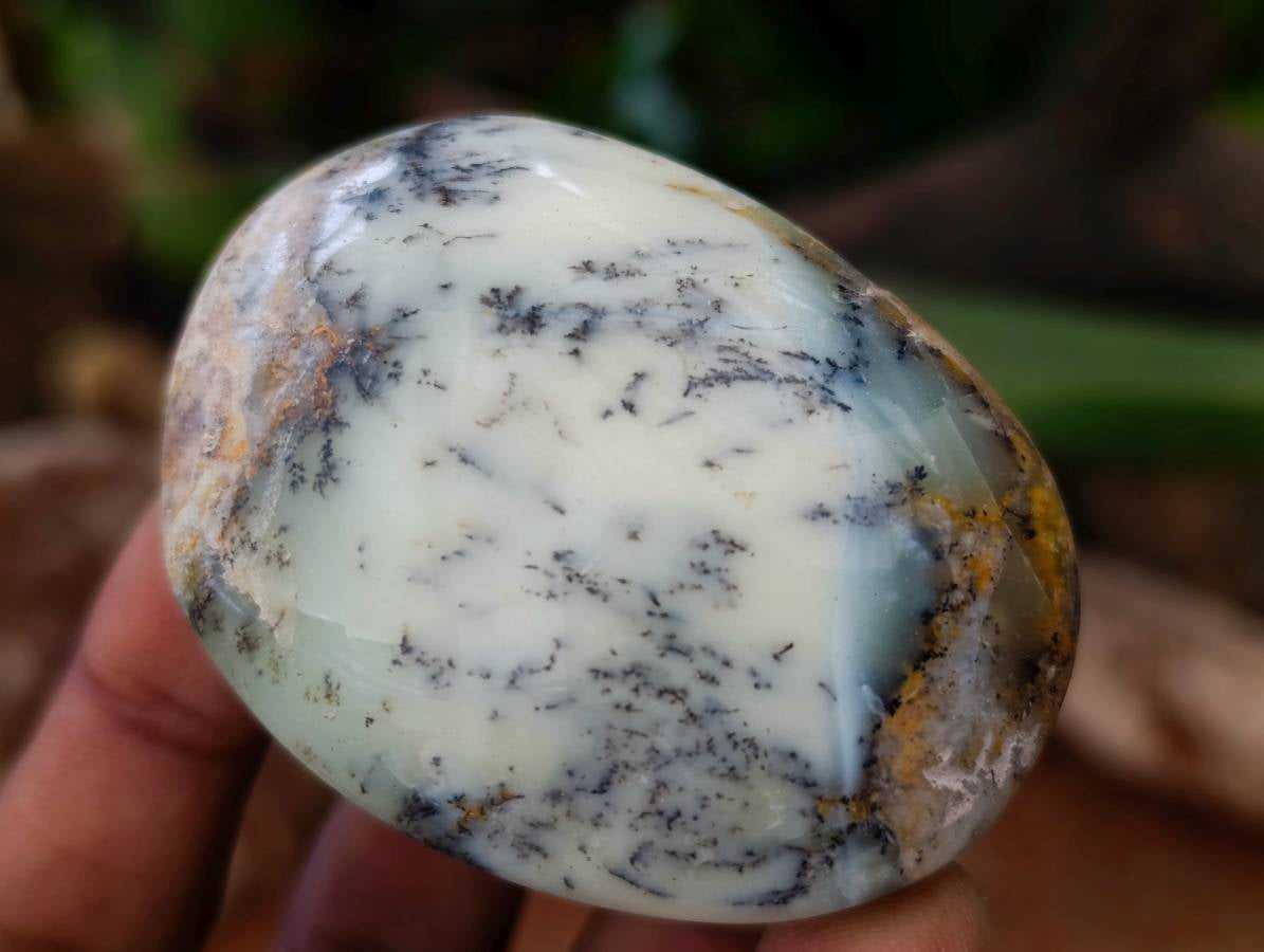 Polished Dendritic Opal Palm Stones x 12 From Moralambo, Madagascar