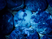 Polished Dendritic Opal Palm Stones x 12 From Moralambo, Madagascar