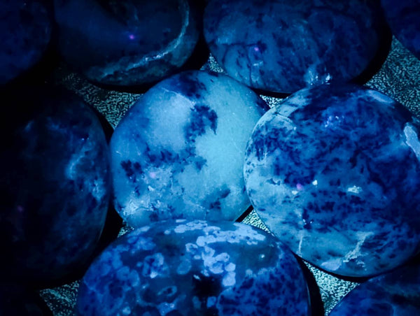 Polished Dendritic Opal Palm Stones x 12 From Moralambo, Madagascar