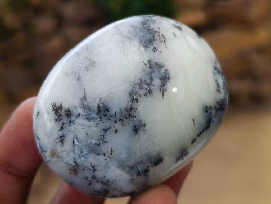 Polished Dendritic Opal Palm Stones x 12 From Moralambo, Madagascar