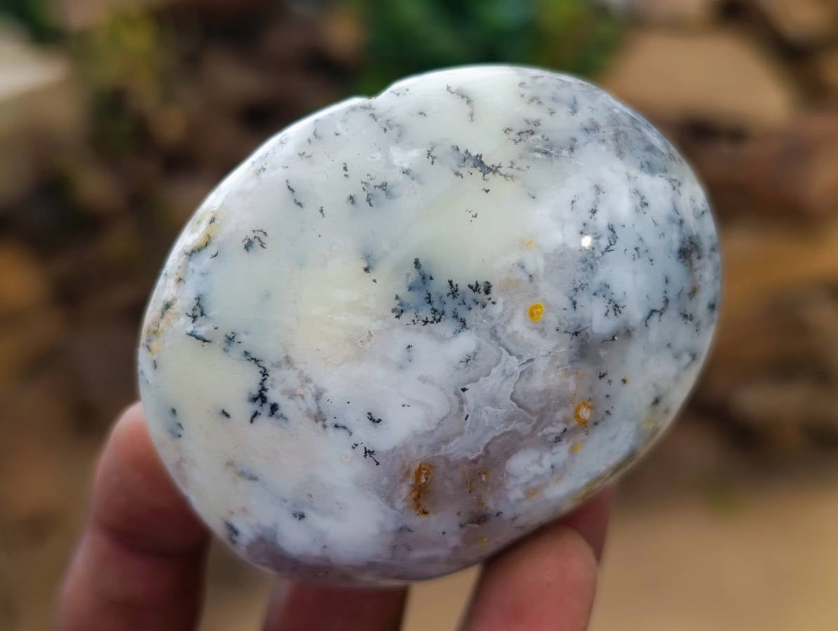 Polished Dendritic Opal Palm Stones x 12 From Moralambo, Madagascar