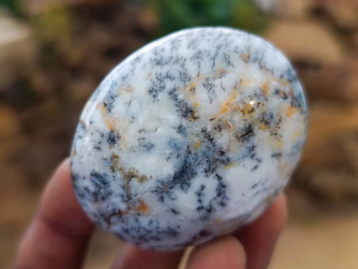 Polished Dendritic Opal Palm Stones x 12 From Moralambo, Madagascar