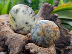 Polished Dendritic Opal Palm Stones x 12 From Moralambo, Madagascar