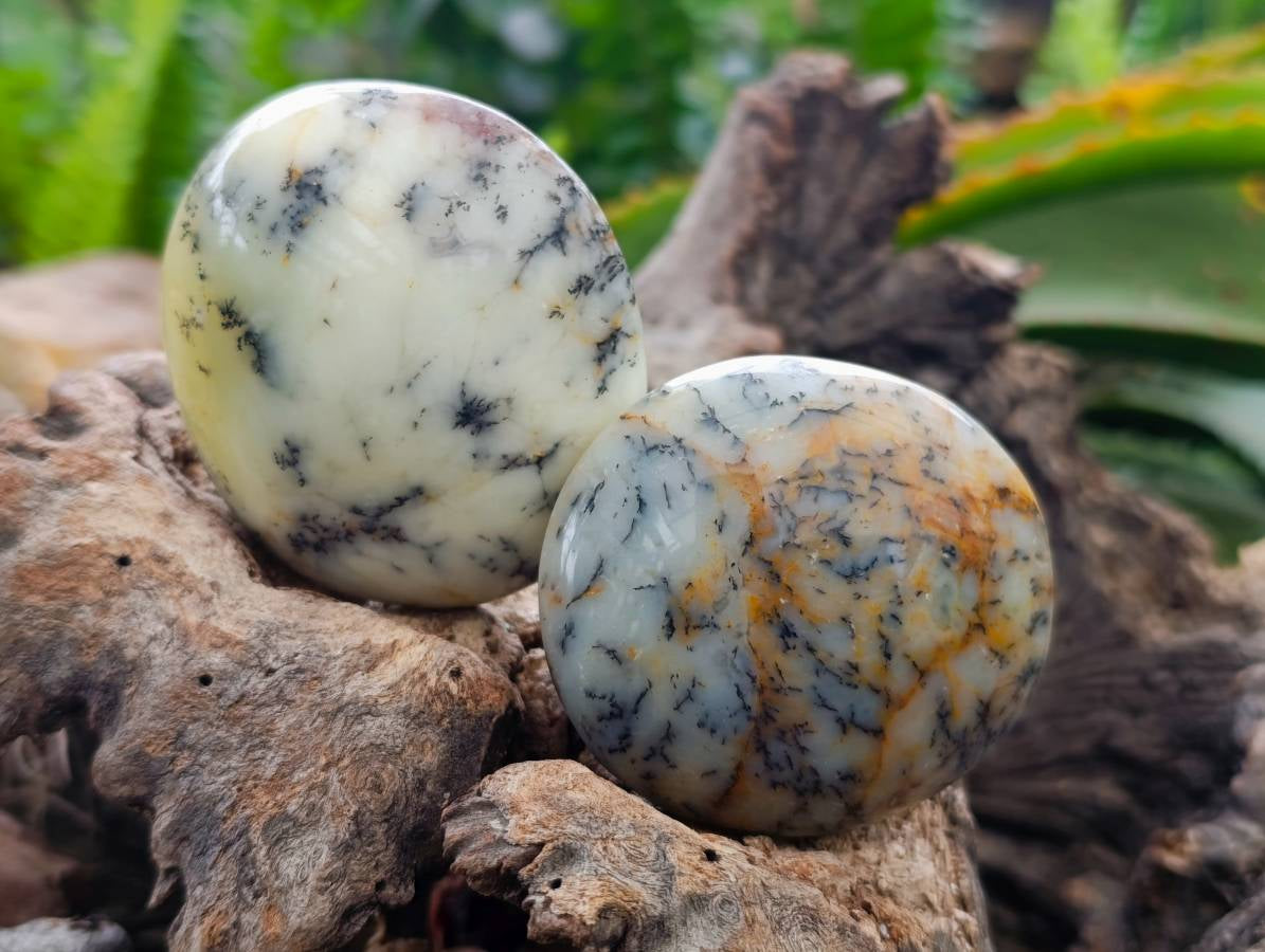 Polished Dendritic Opal Palm Stones x 12 From Moralambo, Madagascar