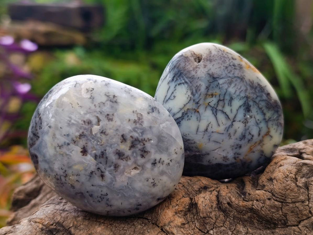Polished Dendritic Opal Palm Stones x 12 From Moralambo, Madagascar