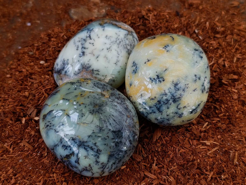 Polished Dendritic Opal Palm Stones x 12 From Moralambo, Madagascar
