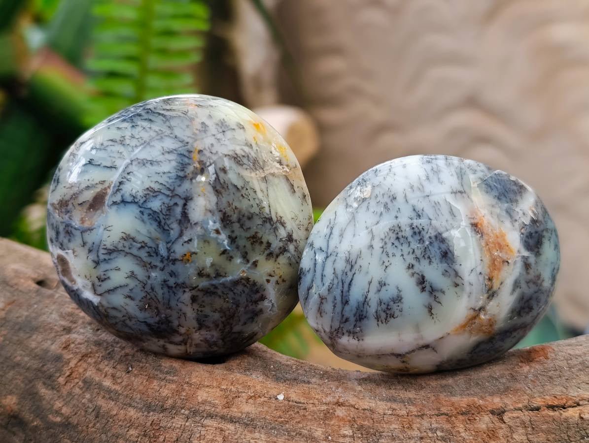 Polished Dendritic Opal Palm Stones x 12 From Moralambo, Madagascar