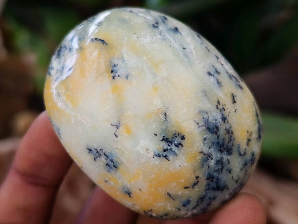 Polished Dendritic Opal Palm Stones x 12 From Moralambo, Madagascar