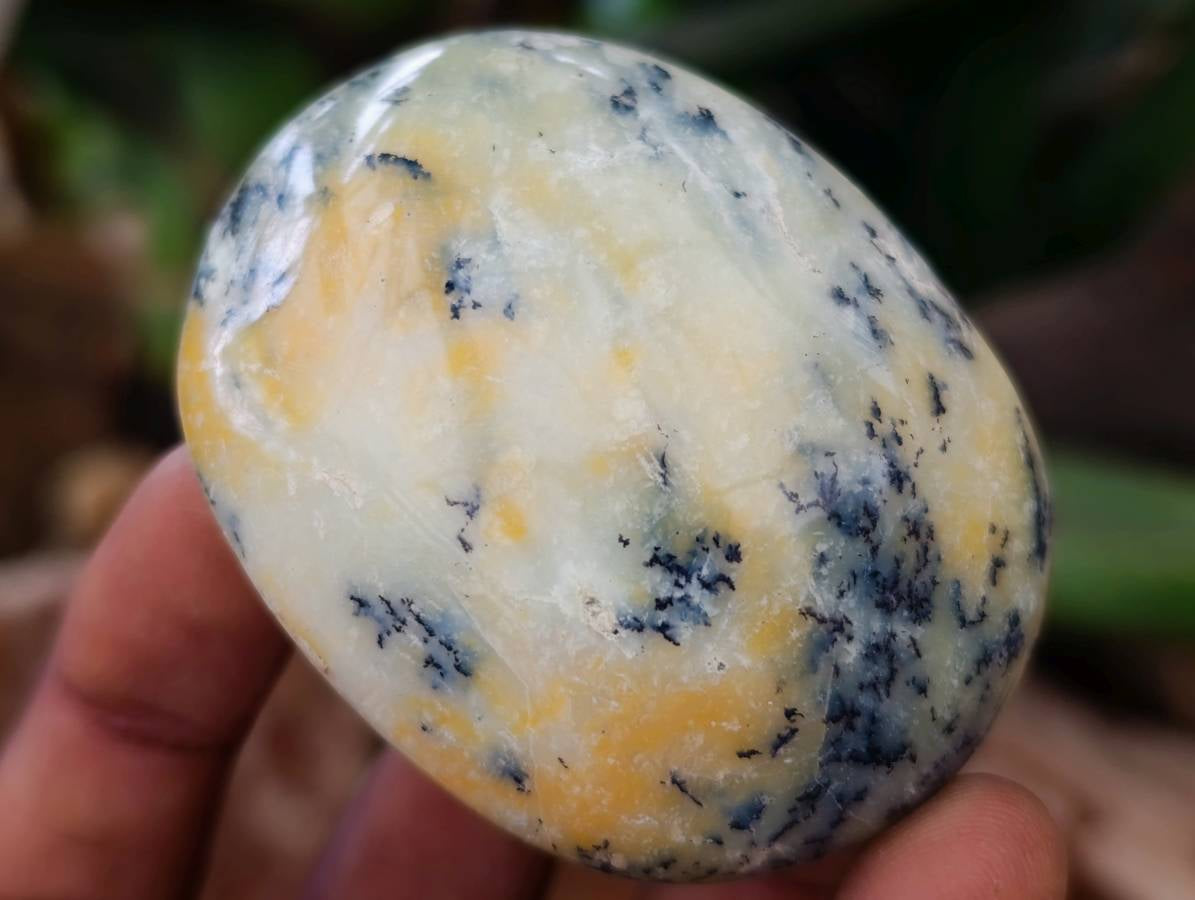 Polished Dendritic Opal Palm Stones x 12 From Moralambo, Madagascar