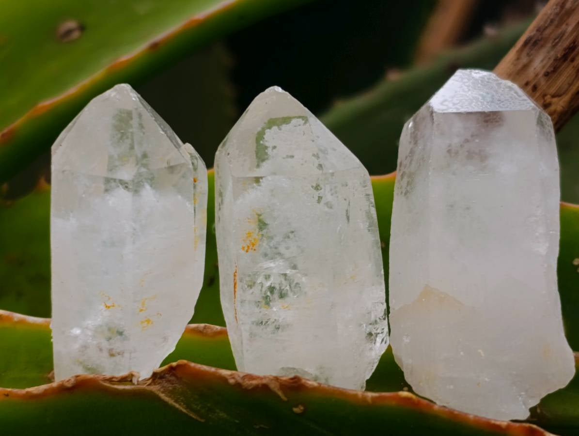 Natural Mini Quartz Crystals x 70 From Madagascar