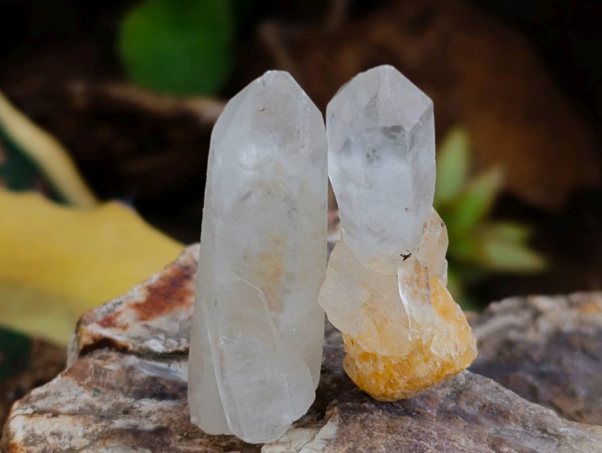 Natural Mini Quartz Crystals x 70 From Madagascar