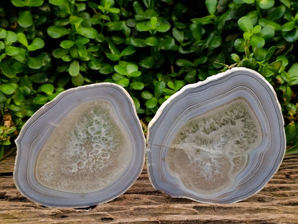 Polished Banded Agate Slices x 4 From Madagascar