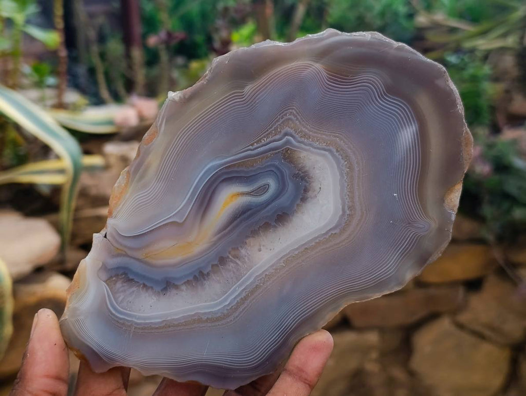 Polished Banded Agate Slices x 4 From Madagascar