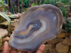 Polished Banded Agate Slices x 4 From Madagascar