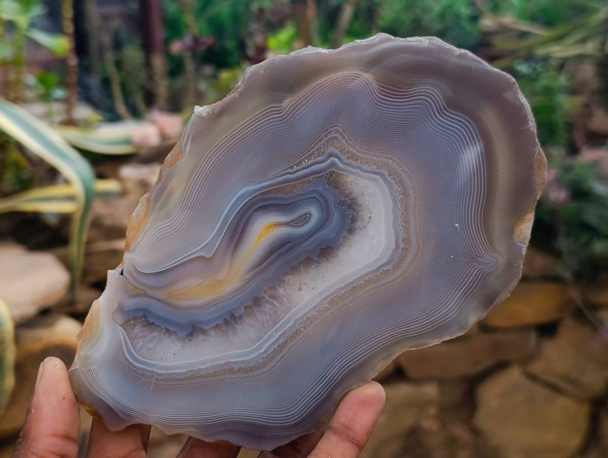 Polished Banded Agate Slices x 4 From Madagascar