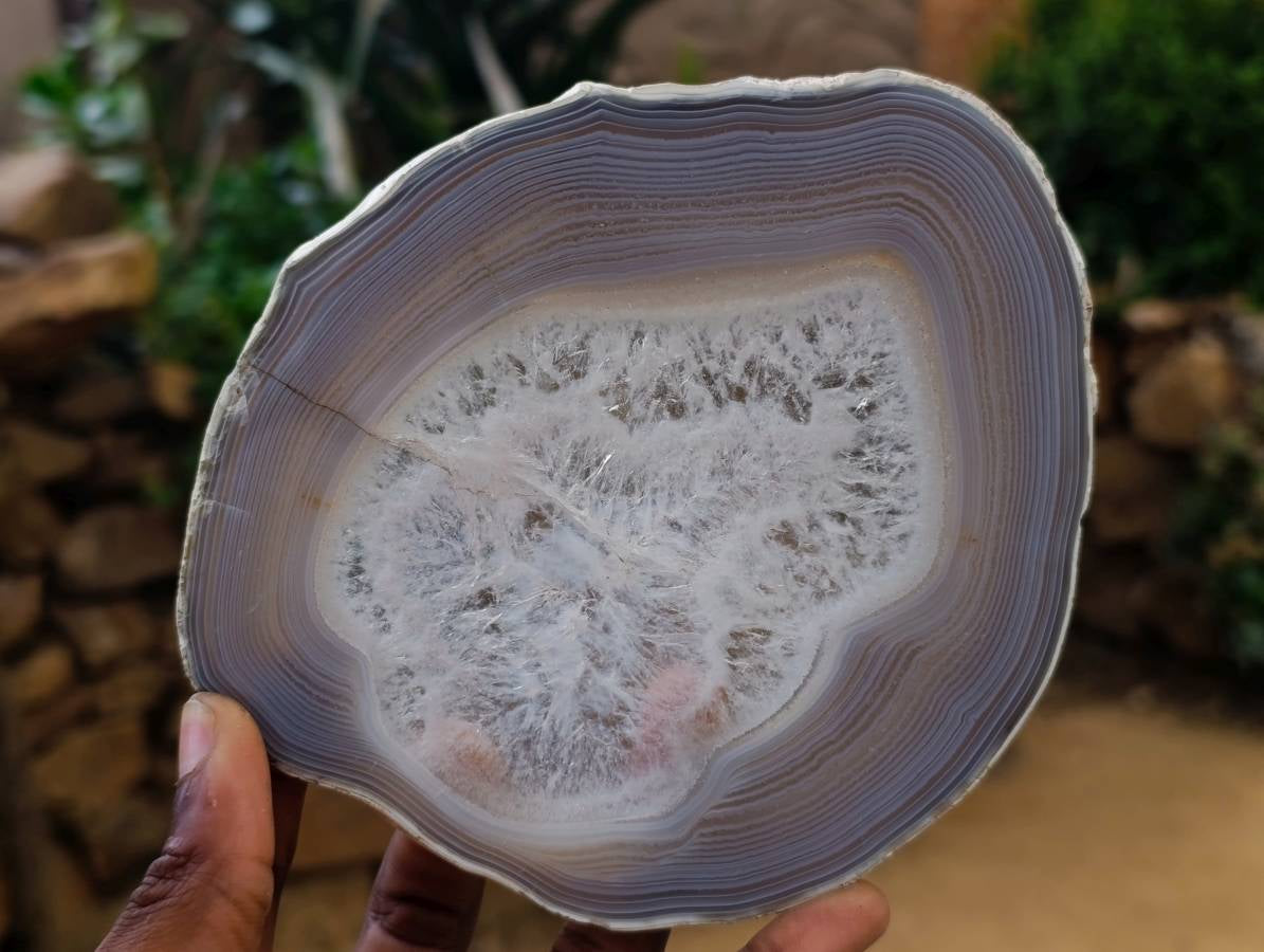 Polished Banded Agate Slices x 4 From Madagascar