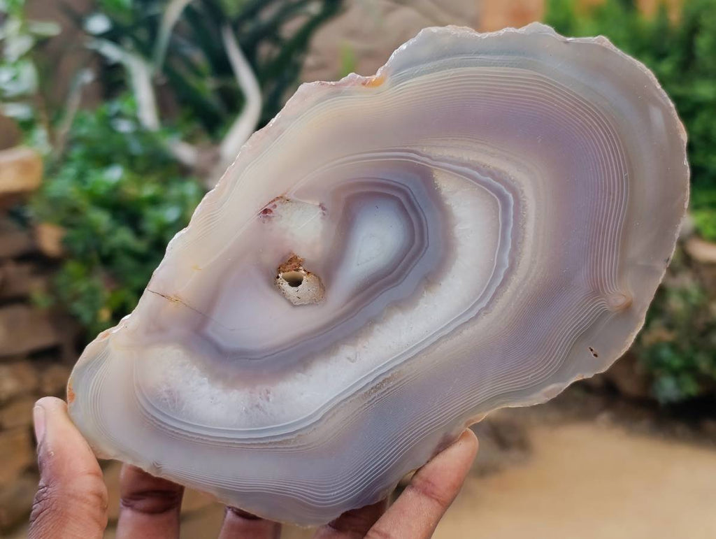 Polished Banded Agate Slices x 4 From Madagascar