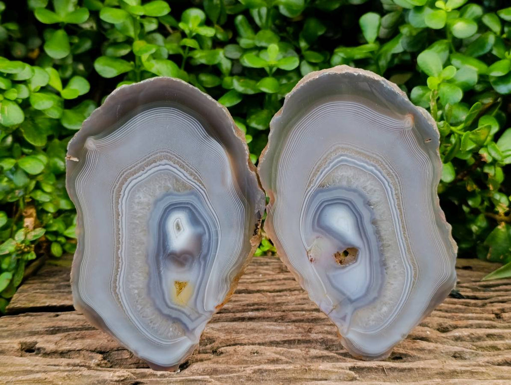 Polished Banded Agate Slices x 4 From Madagascar