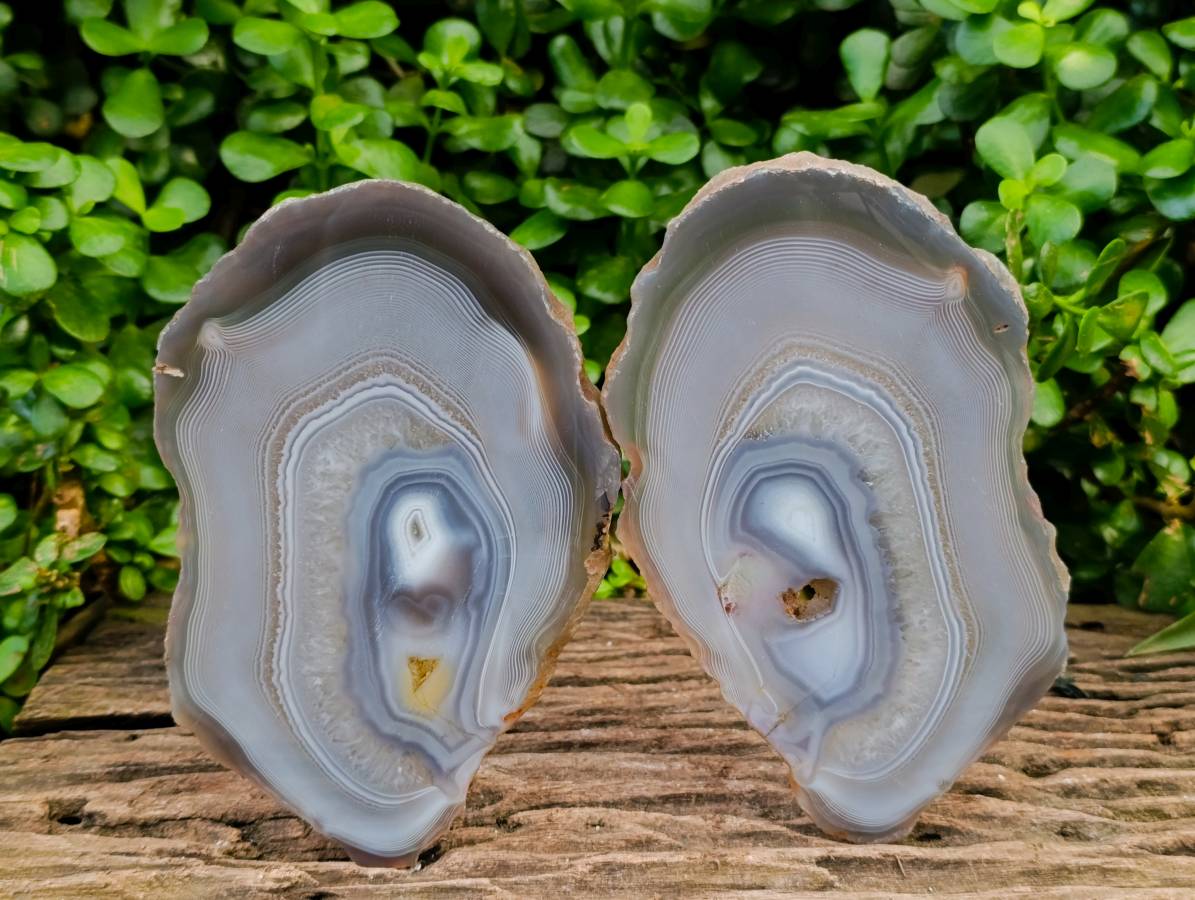 Polished Banded Agate Slices x 4 From Madagascar