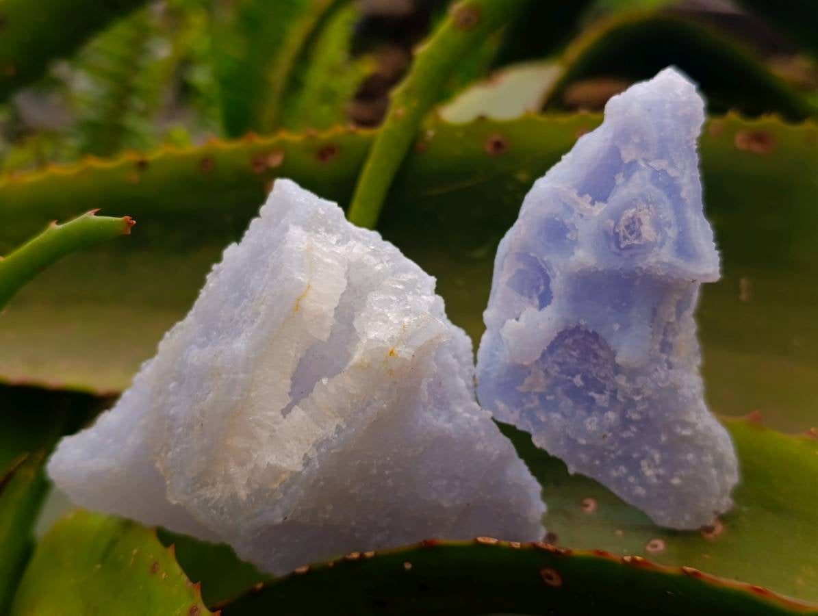 Natural Etched Blue Chalcedony Geodes x 12 From Nsanje, Malawi