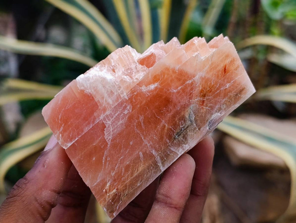 Natural Sunset Orange Calcite Specimens x 12 From Spitzkop, Namibia
