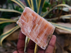 Natural Sunset Orange Calcite Specimens x 12 From Spitzkop, Namibia