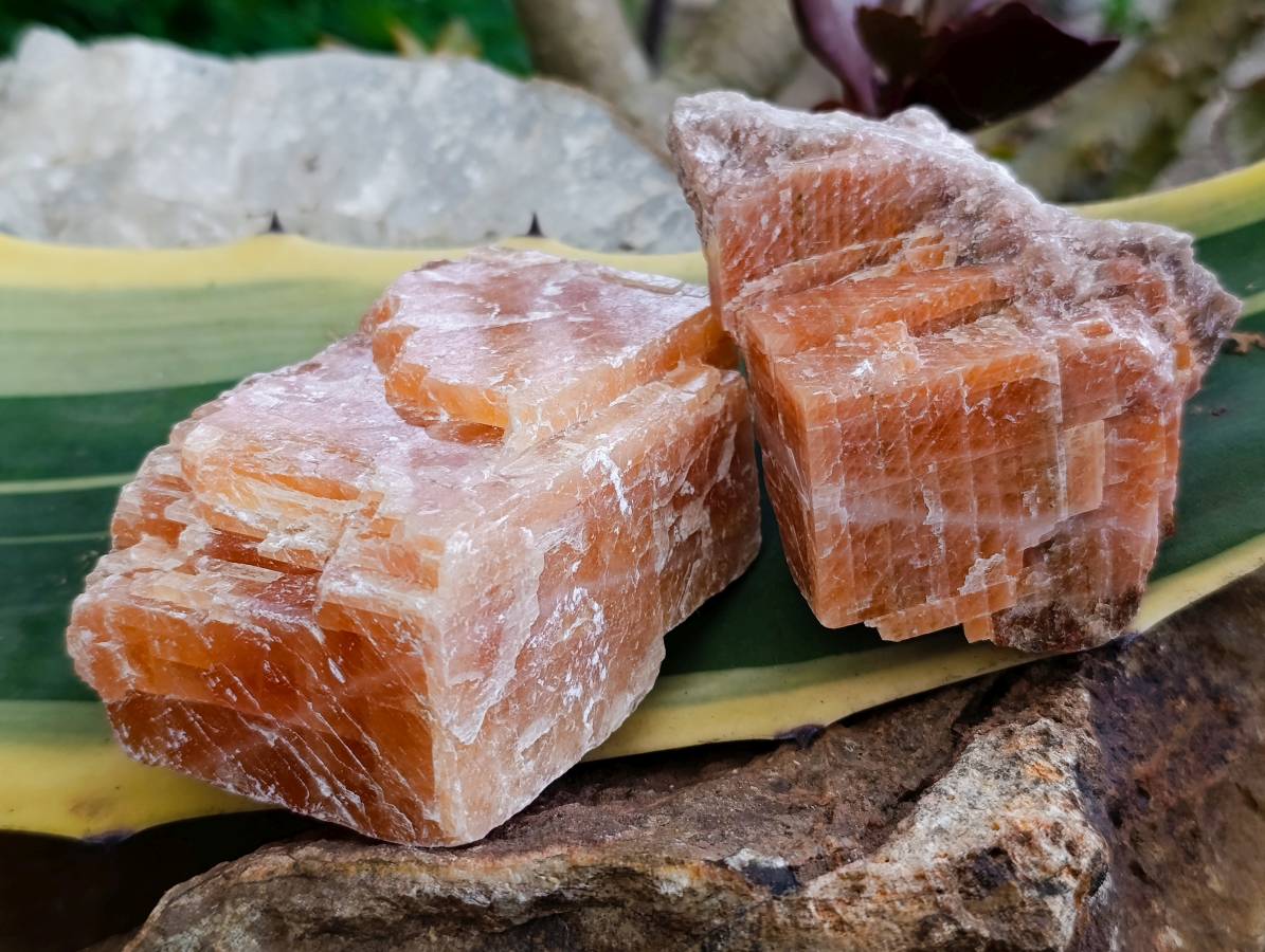 Natural Sunset Orange Calcite Specimens x 12 From Spitzkop, Namibia