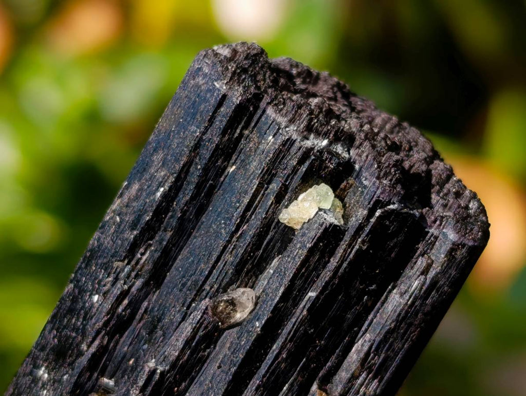 Natural Schorl Black Tourmaline With Smokey Quartz x 6 From Erongo, Namibia