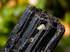 Natural Schorl Black Tourmaline With Smokey Quartz x 6 From Erongo, Namibia