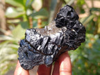 Natural Schorl Black Tourmaline With Smokey Quartz x 6 From Erongo, Namibia