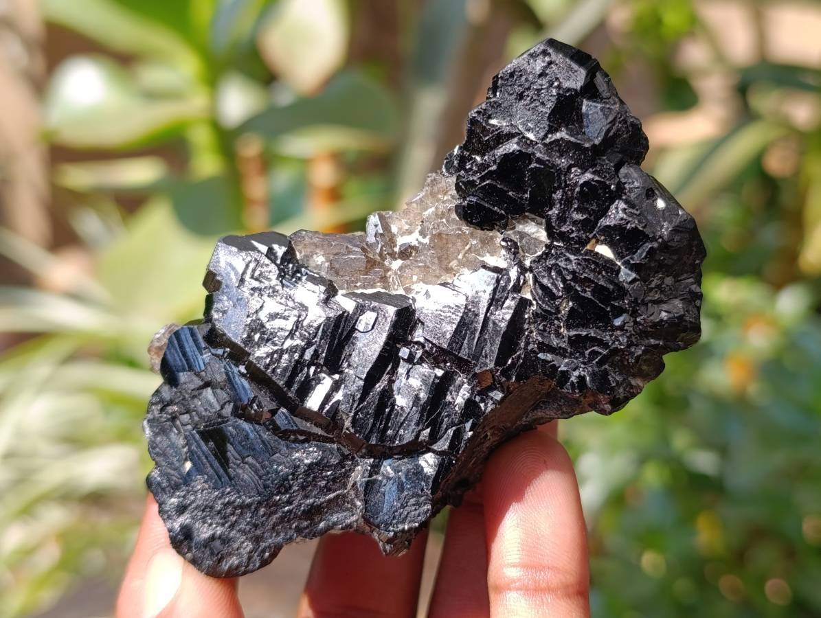 Natural Schorl Black Tourmaline With Smokey Quartz x 6 From Erongo, Namibia