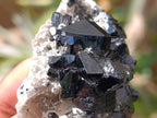 Natural Schorl Black Tourmaline With Smokey Quartz x 6 From Erongo, Namibia
