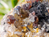 Natural Schorl Black Tourmaline With Smokey Quartz x 6 From Erongo, Namibia