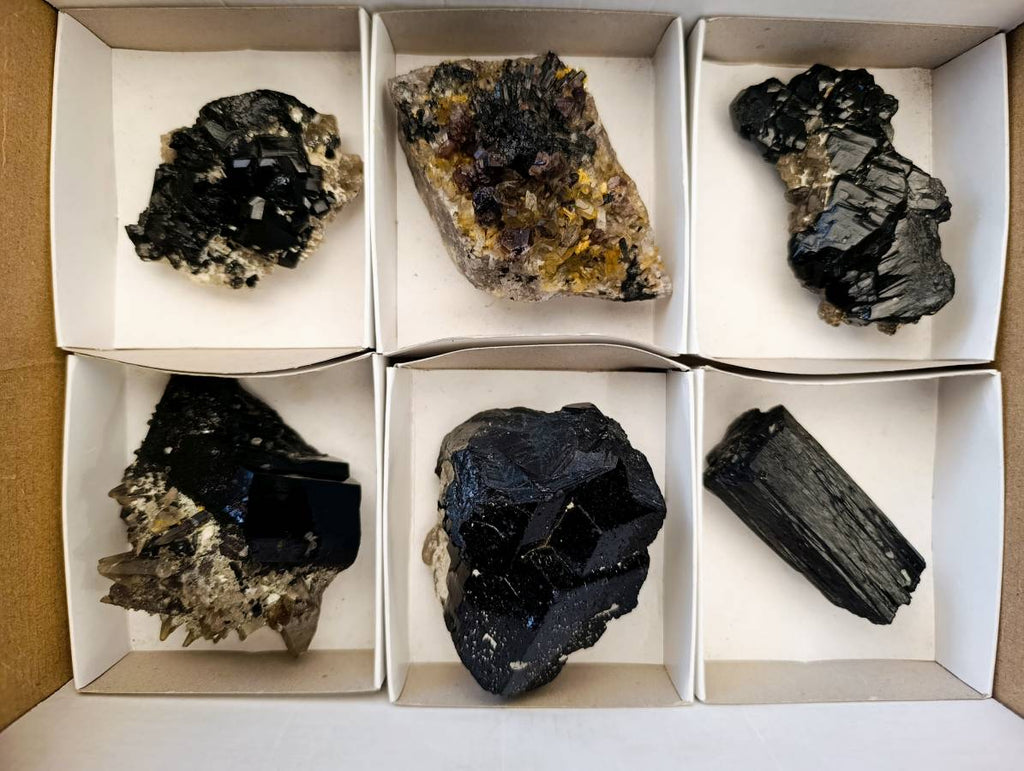 Natural Schorl Black Tourmaline With Smokey Quartz x 6 From Erongo, Namibia