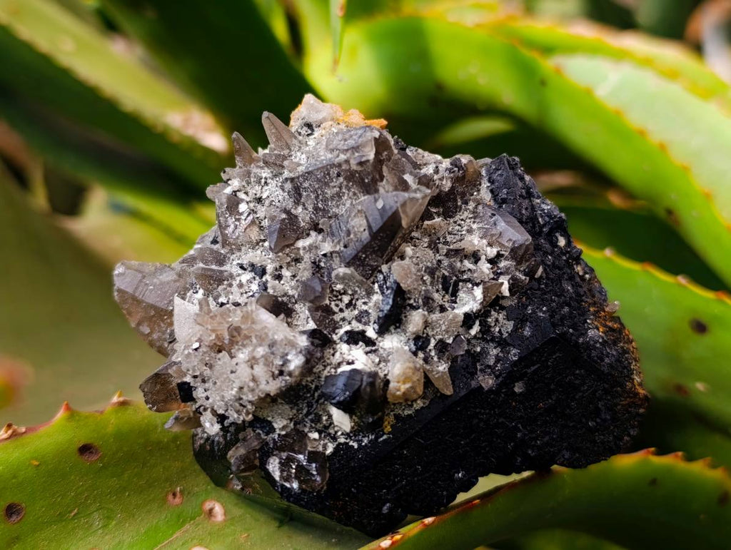 Natural Schorl Black Tourmaline With Smokey Quartz x 6 From Erongo, Namibia