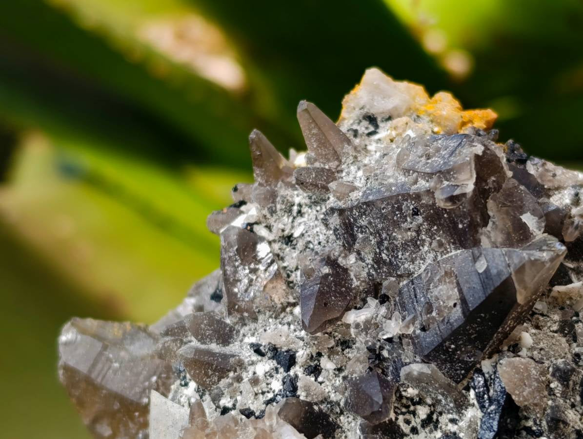 Natural Schorl Black Tourmaline With Smokey Quartz x 6 From Erongo, Namibia