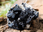 Natural Schorl Black Tourmaline With Smokey Quartz x 6 From Erongo, Namibia