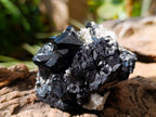 Natural Schorl Black Tourmaline With Smokey Quartz x 6 From Erongo, Namibia